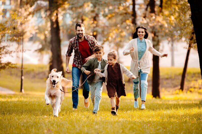 Family Immigration Lawyer Helps With Family-Based Petitions