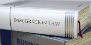 Houston Adjustment Of Status Attorney Guides You
