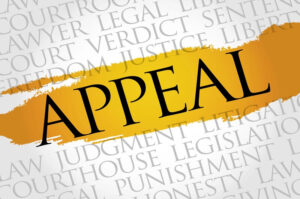U.S. Immigration Appeals: What You Need To Know
