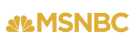 Houston Texas Immigration Lawyers Attorney On MSNBC